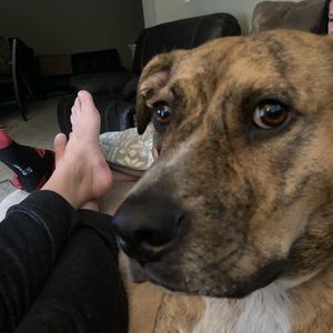 Meet your Posher, Jason